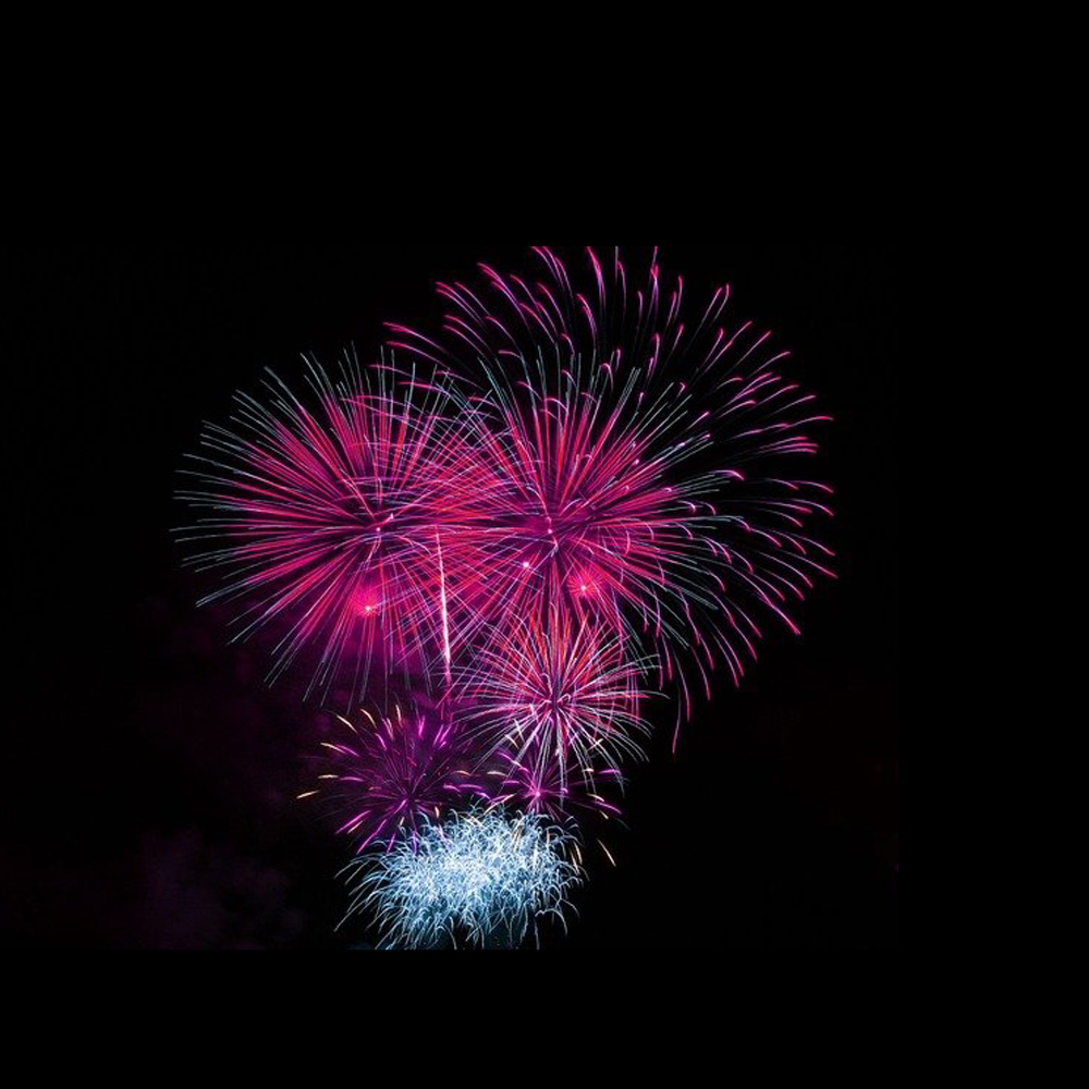 Fuochi d'artificio: per conoscere i prodotti di logistica per la sanità di Francehopital, c'è anche uno showroom con collegamento per videoconferenze