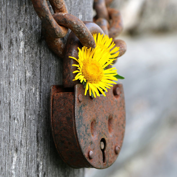 rusty antique lock with yellow flower